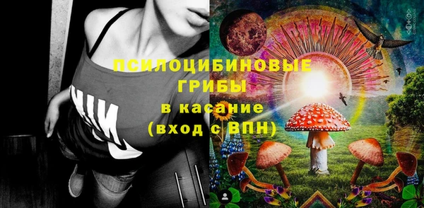 соль ск Горно-Алтайск