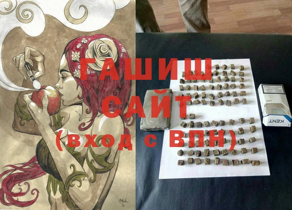 соль ск Горно-Алтайск