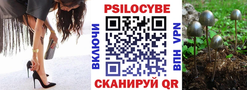 Псилоцибиновые грибы Psilocybine cubensis  Пласт 