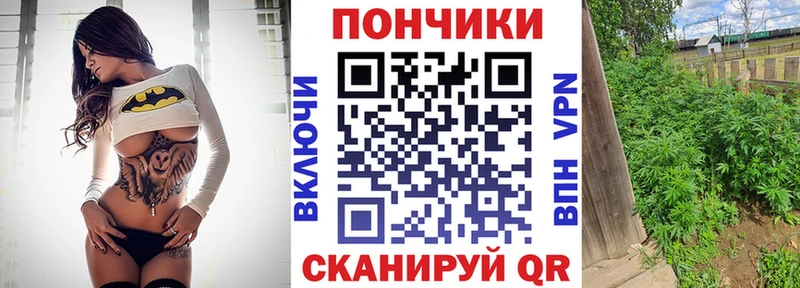 Марихуана Bruce Banner  Пласт 